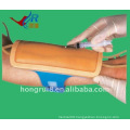 forearm venipuncture model,forearm model